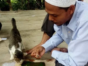Mengharukan Kisah Sang Penyayang Kucing
