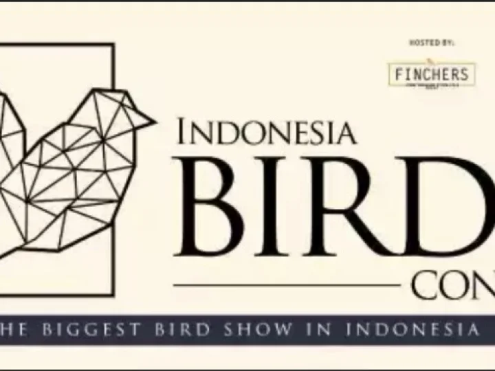 Indonesia Bird Con 2019 : Pameran lndustri Burung Pertama Kali Digelar di Indonesia