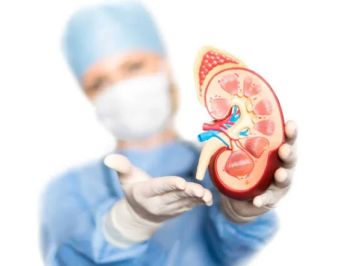 Menjaga Ginjal Tetap Sehat Tanpa Minum Obat