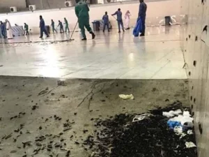 Kawasan Masjidil Haram Dipenuhi Jutaan Serangga