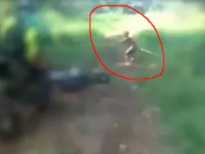 Menyusuri Jejak Suku Mante di Pedalaman Hutan Aceh  