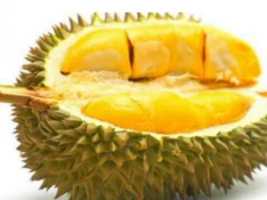 Viral Video Cara Belah Durian dengan Kepala