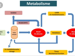 6 Trik Sederhana Dongkrak Metabolisme Tubuh