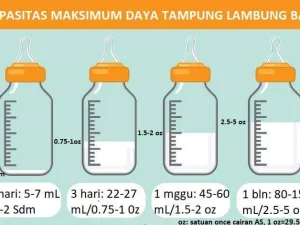 Anda Kedatangan 