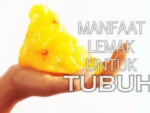 Cukupkah Bakar Lemak Cuma Andalkan Kardio?