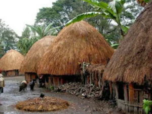 Dana Desa untuk Papua Barat Rp 1,5 Triliun