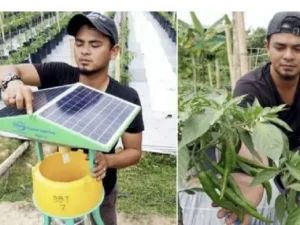 Ogah Cari Kerja, Sarjana Ini Pilih Jadi Petani Cabai! Hasilnya Wow Banget Netz  