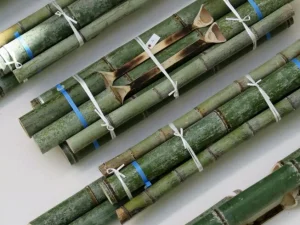 Furnitur dari Bambu Ini Berubah Warna Secara Alami Seiring Waktu   