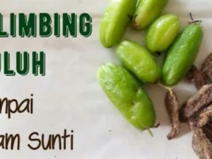 Sayur Asam Sunti Kesegaran untuk Masakan