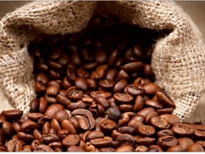 Berkeliling Indonesia Cari Biji Kopi Terbaik
