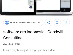 Alasan ERP Dipasang di Merdeka Barat