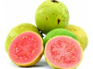 Jambu Biji Kaya Vitamin C, Intip Khasiat Lainnya