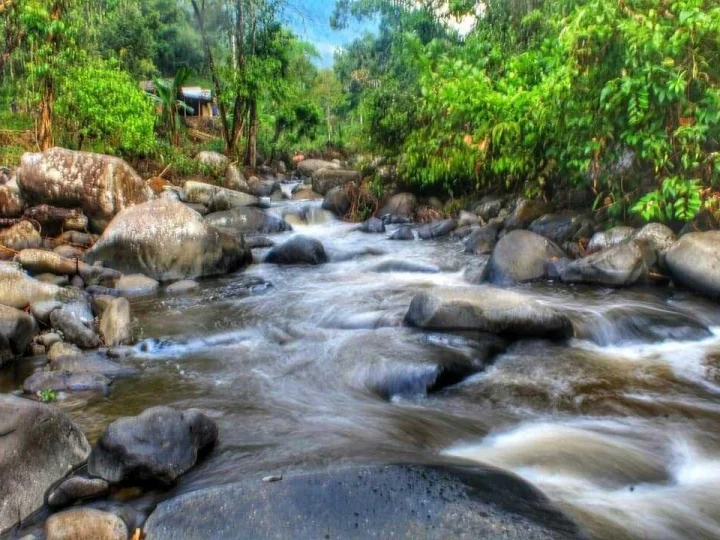 Menguak Misteri Negeri Aulia Lhok Ghop Pidie Jaya dan Syekh Ibrahim
