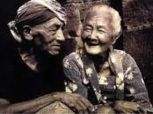 Pasangan SInga