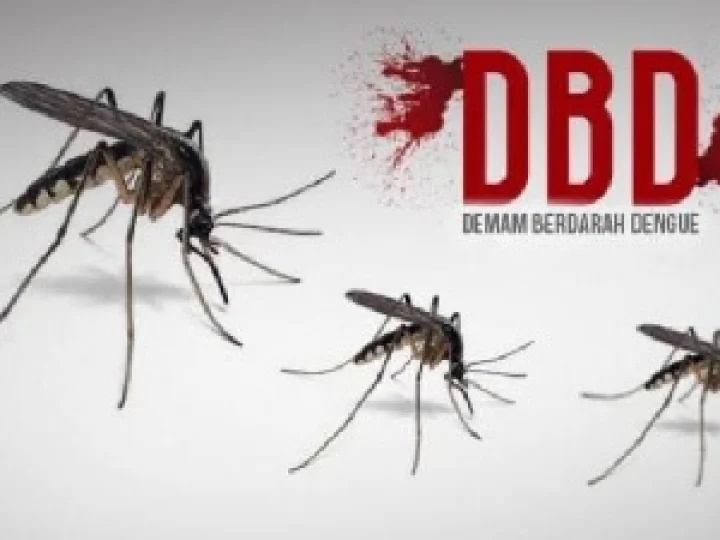 Tips Perang Nyamuk, Harus Dicoba!