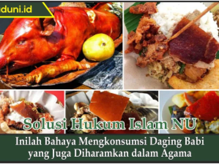 Inilah Bahaya Mengkonsumsi Daging Babi yang Juga Diharamkan dalam Agama