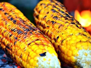 Mulai dari Wakil Bupati hingga Jagung Bakar asal Pidie Sambil Menanti Kemajuan Kota Juang
