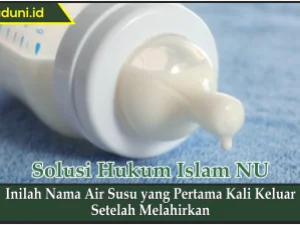 Inilah Nama Air Susu yang Pertama Kali Keluar Setelah Melahirkan