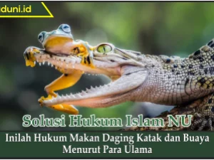 Inilah Hukum Makan Daging Katak dan Buaya Menurut Para Ulama