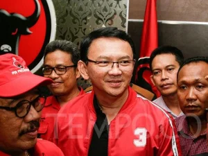 Ahli Hukum Tata Negara: Ahok Tak Bisa Jadi Wakil Presiden