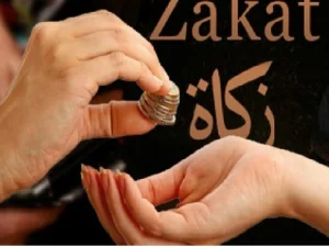 Pengertian dan Pembagian Zakat