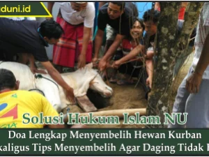 Doa Lengkap Menyembelih Hewan Kurban Sekaligus Tips Menyembelih Agar Daging Tidak Bau
