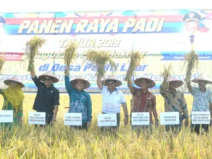 Wagub Kalbar : Potensi Pertanian di Mempawah Sangat Menjanjikan