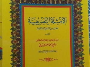 Kisah Kyai Ma’shum Ali, Pengarang Kitab Shorof Legendaris