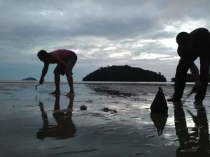 Nikmatnya Berburu Ikan Kapah di Pantai Pulau Datok Sukadana