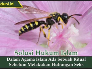 Dalam Agama Islam Ada Sebuah Ritual Sebelum Melakukan Hubungan Seks