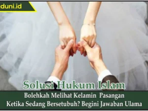 Bolehkah Melihat Kelamin  Pasangan Ketika Sedang Bersetubuh?