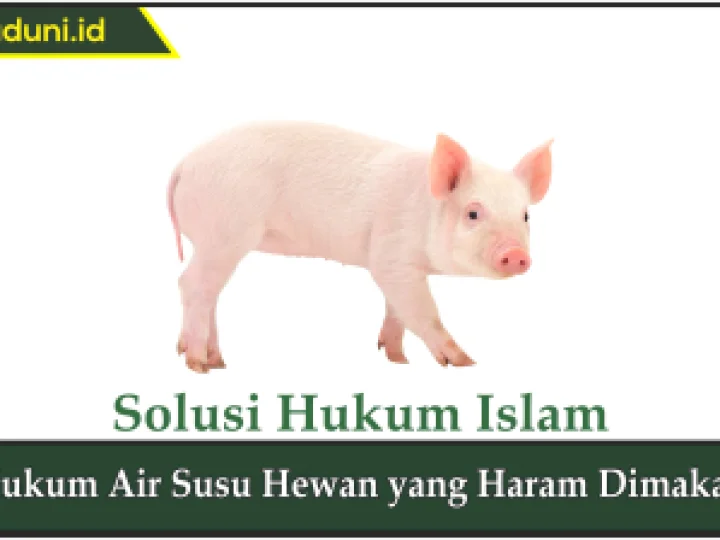 Hukum Air Susu Hewan yang Haram Dimakan
