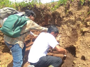 Era Pra Majapahit, BPCB Trowulan Mulai Eskavasi Situs di Tol Malang-Pandaan