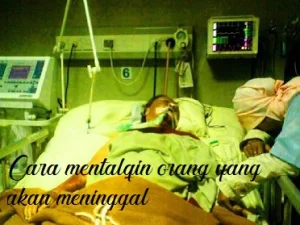 Tata Cara Mentalqin Jenazah