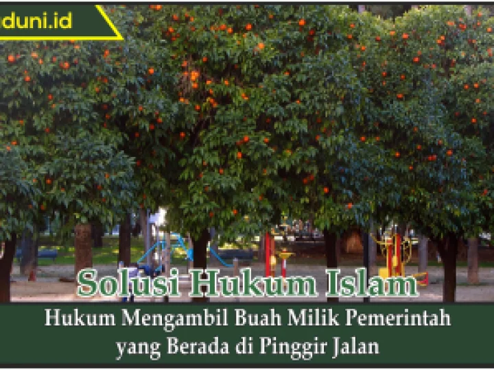 Hukum Mengambil Buah Milik Pemerintah yang Berada di Pinggir Jalan