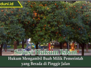 Hukum Mengambil Buah Milik Pemerintah yang Berada di Pinggir Jalan