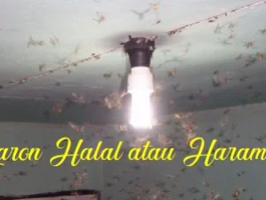 Laron, Halal atau Haram untuk Dikonsumsi?