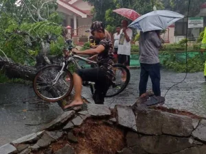 BPBD Sumenep Minta Warga Waspada akibat Hujan Deras Disertai Angin Kencang