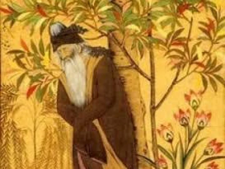 Kisah Sang Sufi dan Seekor Kupu-kupu