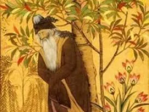 Kisah Sang Sufi dan Seekor Kupu-kupu