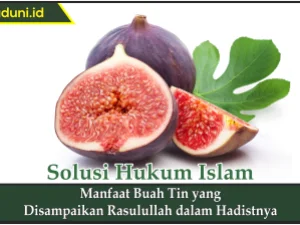 Manfaat Buah Tin yang Disampaikan Rasulullah dalam Hadisnya