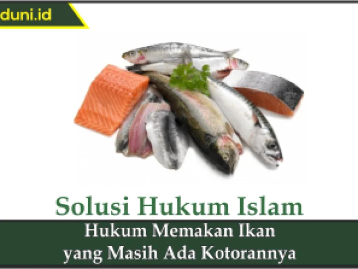 Hukum Memakan Ikan yang Masih Ada Kotorannya
