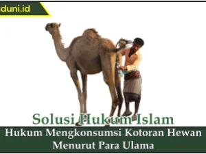 Hukum Mengkonsumsi Kotoran Hewan Menurut Para Ulama