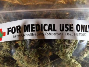 Ganja Ingin Dilegalkan, Ini Alasan Anggota Parlemen Jeram Malaysia