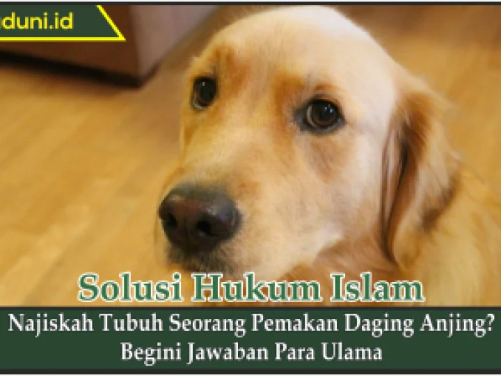 Najiskah Tubuh Seorang Pemakan Daging Anjing?