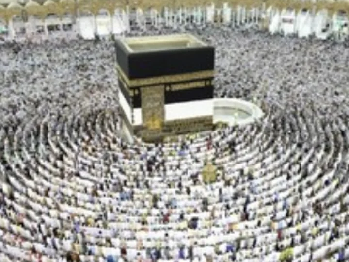 Arab Saudi Berlakukan Visa Progresif Bagi Jamaah dan Petugas yang Sudah Haji