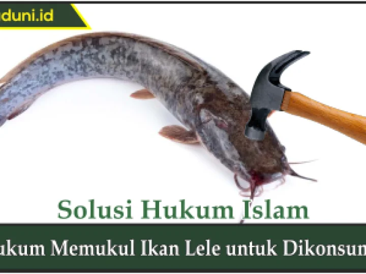Hukum Memukul Ikan Lele untuk Dikonsumsi