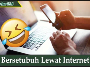 Bersetubuh Lewat Internet