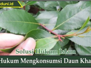 Hukum Mengkonsumsi Daun Khat