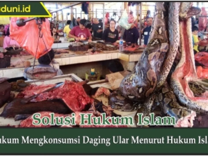 Hukum Mengkonsumsi Daging Ular Menurut Hukum Islam